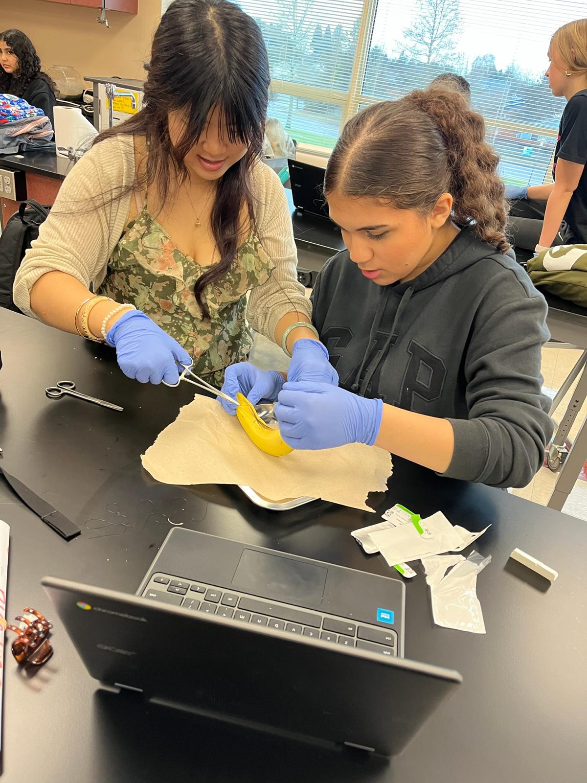 Banana Suturing Lab